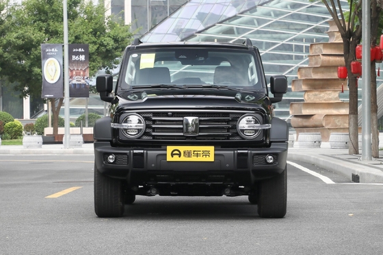 Wey Tank 300 SUV стандарт выбросов Euro VI и электрическое регулируемое отопительное зеркало
