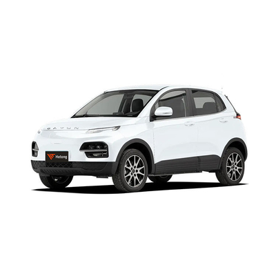 DAYUN M1 Энергетические транспортные средства Электромобиль Для взрослых Автомобиль Люкс 2023 Yuehu ES3 300 км Длинный диапазон EV