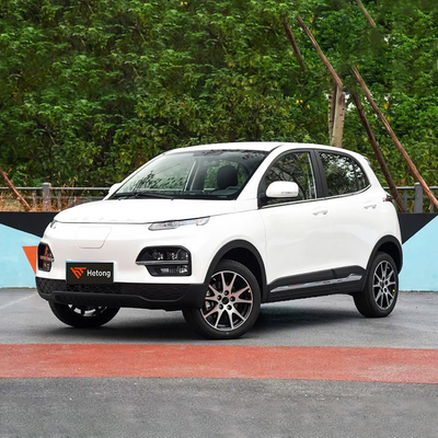 DAYUN M1 Энергетические транспортные средства Электромобиль Для взрослых Автомобиль Люкс 2023 Yuehu ES3 300 км Длинный диапазон EV