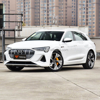 Энергетическое транспортное средство Audi E-Tron Максимальная мощность 230 кВт Весы транспортного средства 2625 кг от китайского