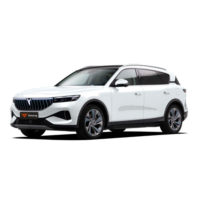 2023 4WD VOYAH БЕСПЛАТНО расширенный диапазон эксклюзивный роскошный электромобиль EV suv чистый 505кВт 631кВт