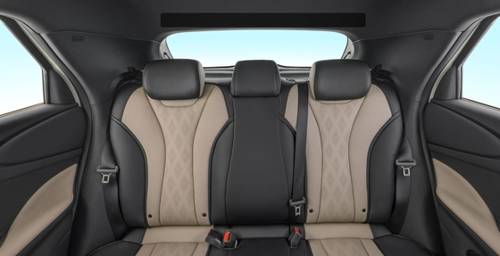 Byd Dolphin 2021 301km Vitality Edition EV Левое рулевое управление Быстрое время зарядки 0,5 часа